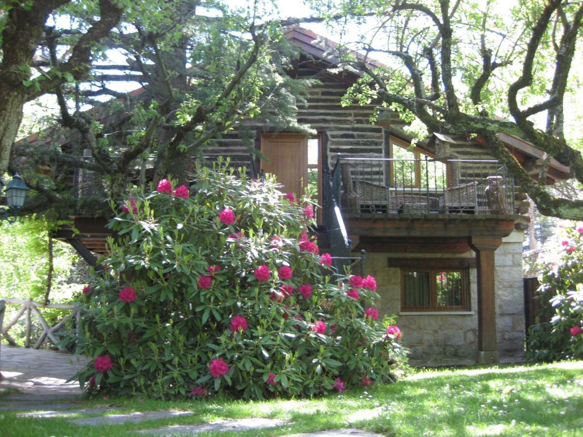 Hotel Rural Los Frutales Серседилья Экстерьер фото