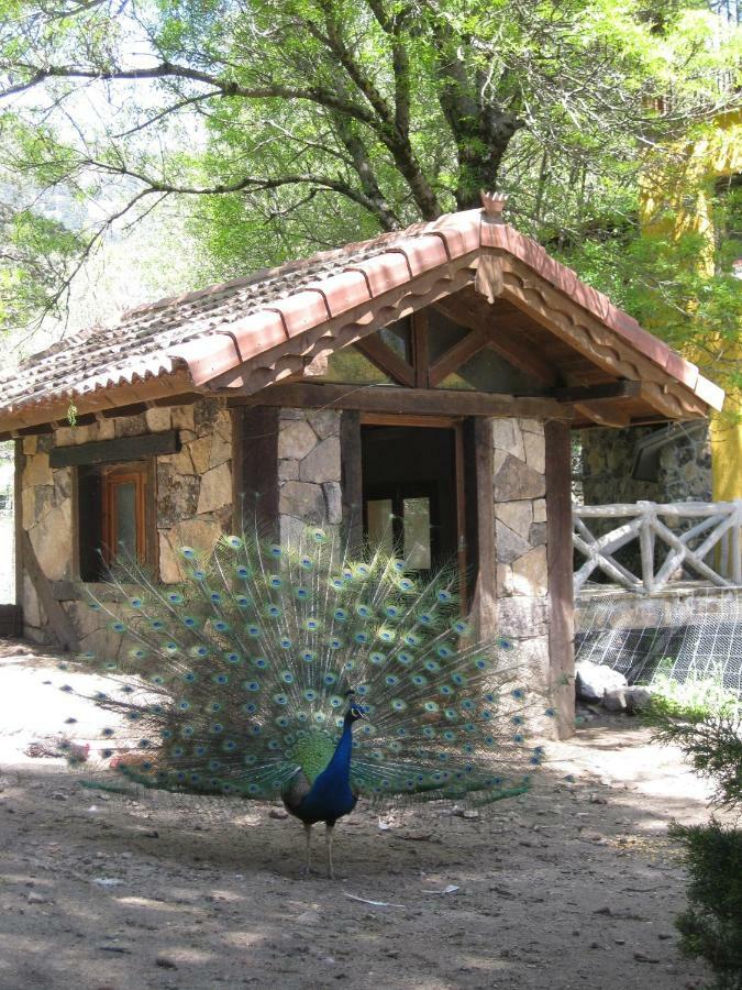 Hotel Rural Los Frutales Серседилья Экстерьер фото