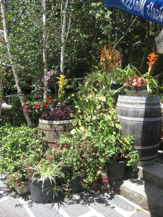 Hotel Rural Los Frutales Серседилья Экстерьер фото